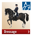 weg_dressage weg_dressage