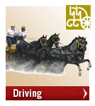 weg_driving