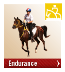 weg_endurance weg_endurance
