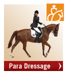 weg_para