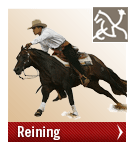 weg_reining