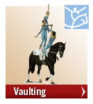 weg_vaulting