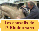 Conseils                   