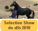 Selection Show du sBs