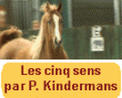 Les cinq sens du cheval