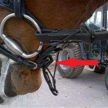 Enrênement EQUI SMART CONTROL