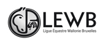 Logo horizontal LEWB en noir et gris