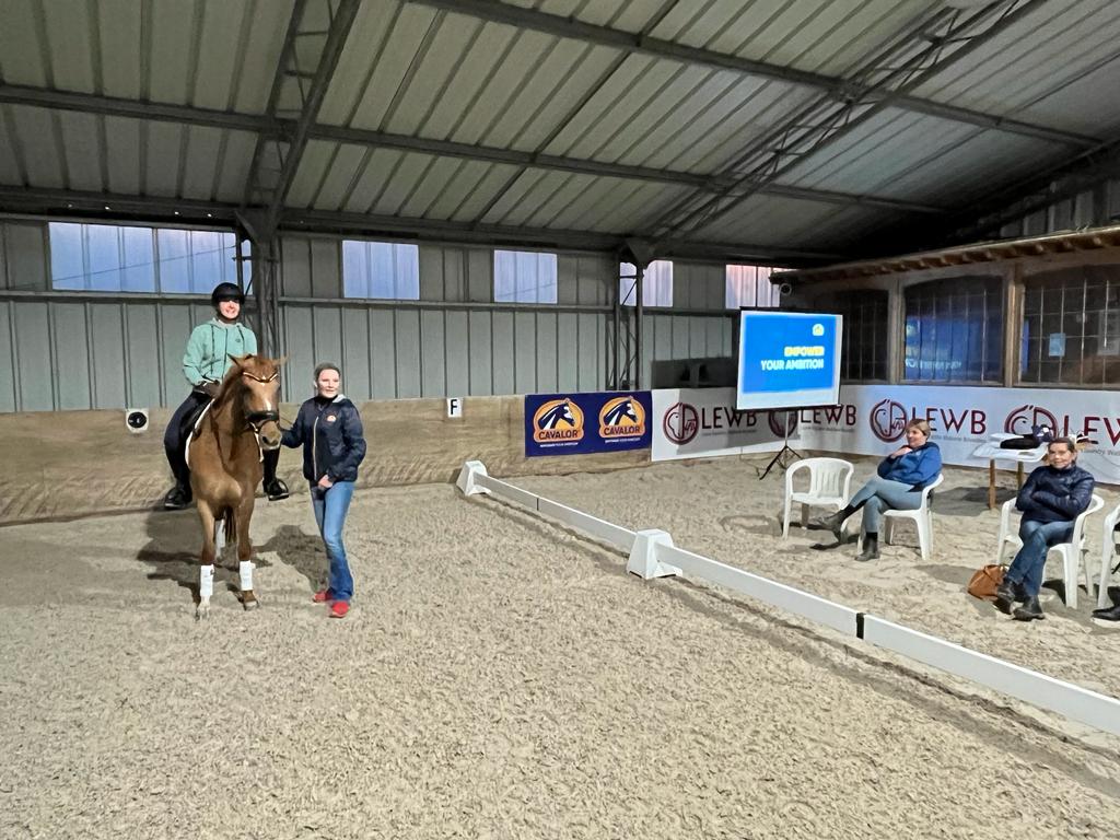 Stage Éducation & Saut d'obstacles - Haras de La Cense