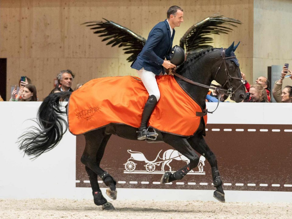 Grégory Wathelet (© Saut Hermès)