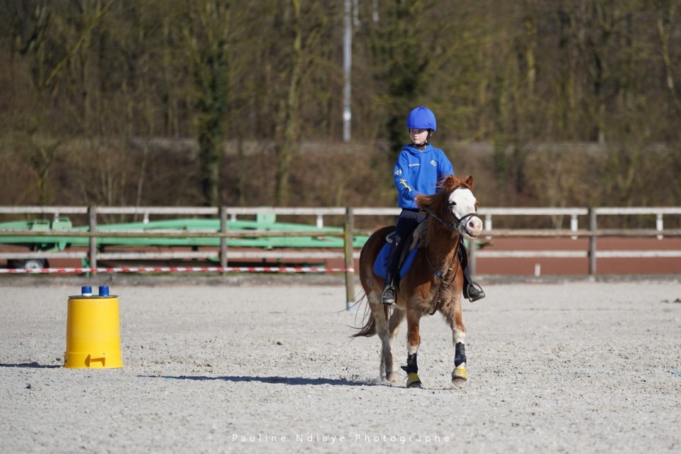 Concours Pony Games de Ghlin 16/03/2025 @Pauline Ndiaye