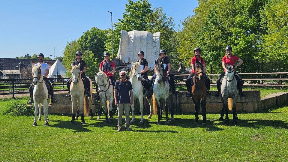 Les cavaliers de TREC à Eersel (Pays-Bas) - 27/04/2025