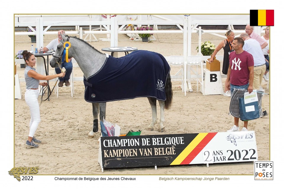 Chevaux de 2 ans @Temps de Pose