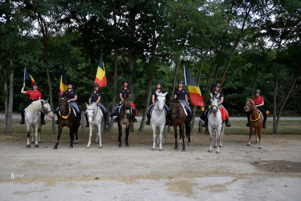 Ch du Monde TREC août 2022 @Facebook TREC Belgium Equitation