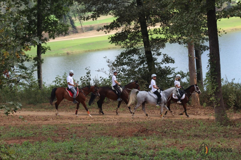 Jeux Equestres Mondiaux Tryon 2018 @Equifans