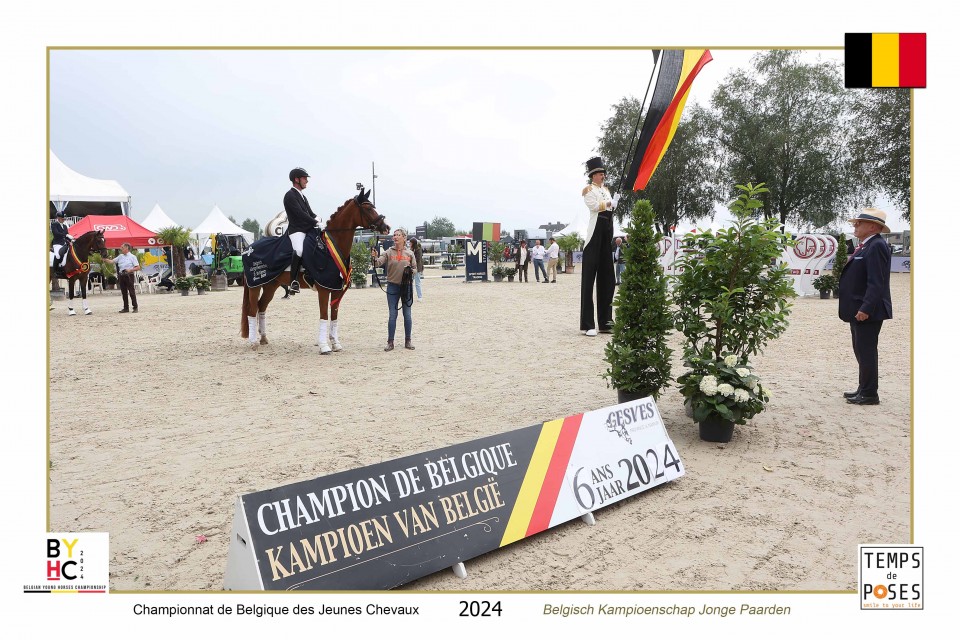 champion de Belgique des Jeunes Chevaux de Dressage de 6 ans : BACCHABUNDUS avec Jérôme Schneiders @Temps de Poses