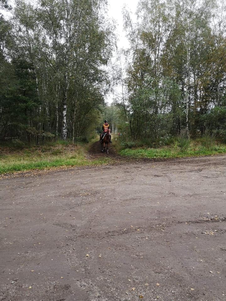 Ermelo @ Facebook Romane Yernaux