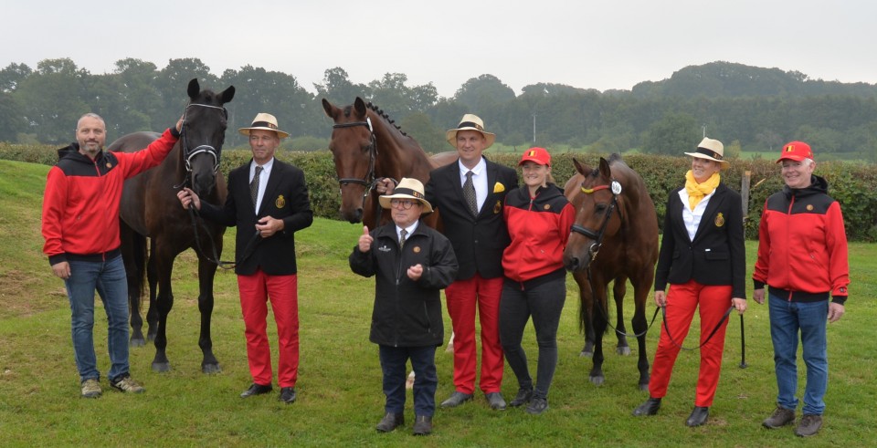 L'équipe belge d'attelage à 1 cheval au Championnat du Monde du Haras du Pin @Hippo Photo