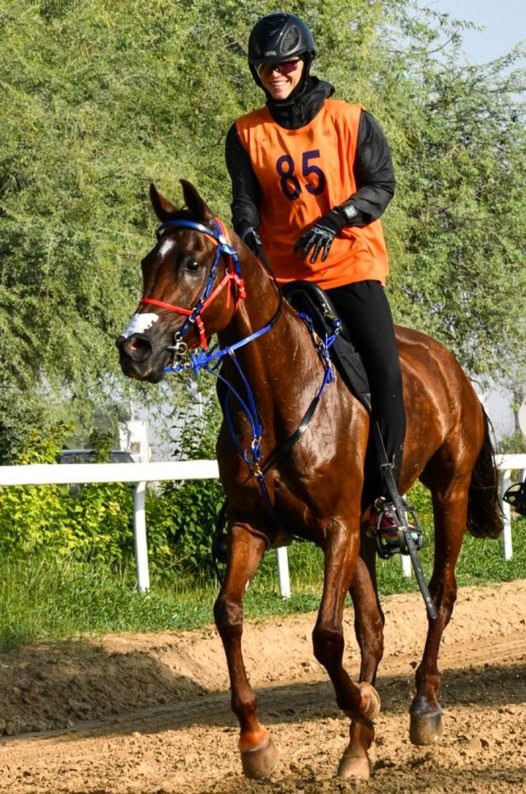 Dune White et Sixbells Aleph - Yamamah Cup 120 km 9/01/2025 @LEWB Endurance