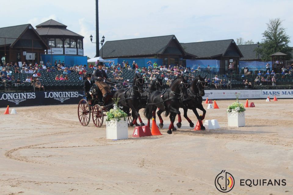 Edouard Simonet - Attelage à 4 chevaux - JEM Tryon 2018 @Equifans