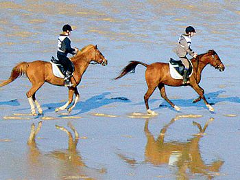 endurance