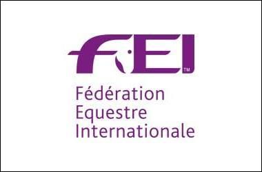 FEI FEI