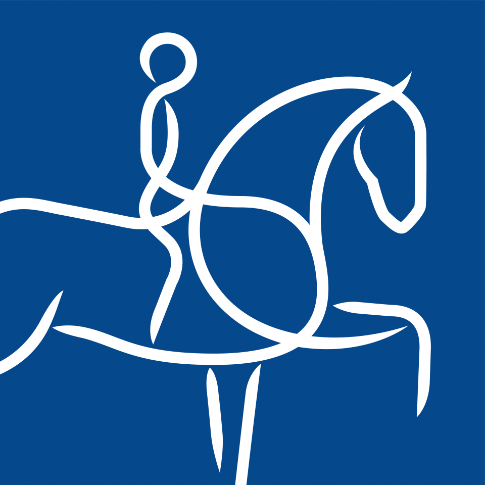 Qualification World Breeding Dressage Championship for Young Horses