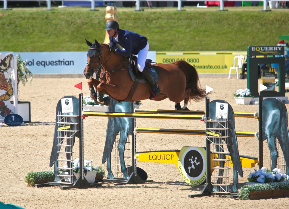 François Mathy Jr - Falco van de Clehoeve - Juin 2017 (c) Sébastien Boulanger