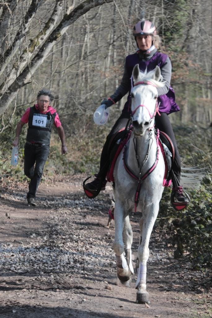 Karin Boulanger et Jadara'h - CEI2 * 140 km Fontainebleau @Facebook Pierre Arnould