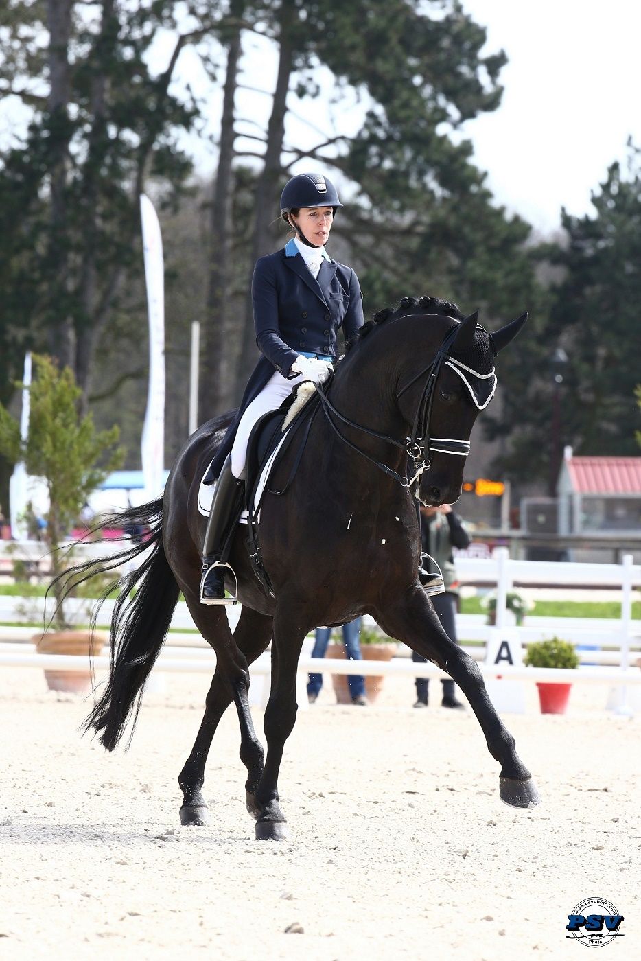 Laurence Vanommeslaghe et Havalon 2018 @PSV - collection personnelle de la cavalière