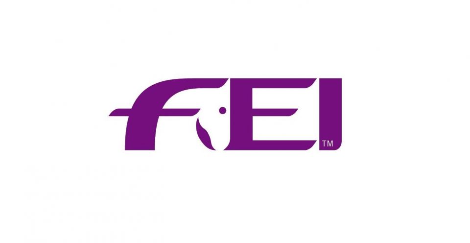 FEI FEI