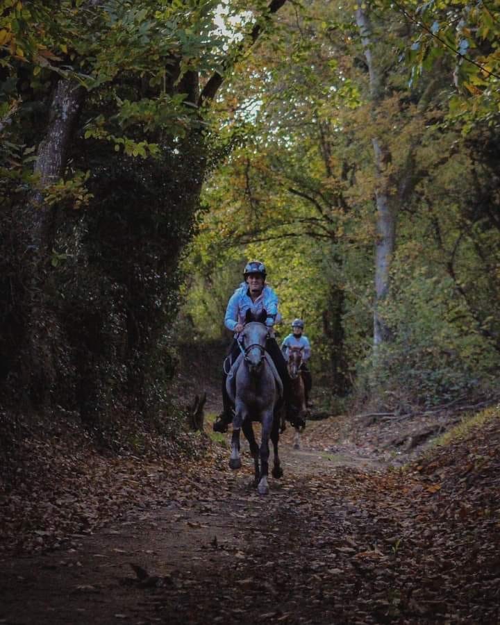 Louna Schuiten et Feu Vere - Victoire CEI 1* - 100 km Plougonven @Facebook PA