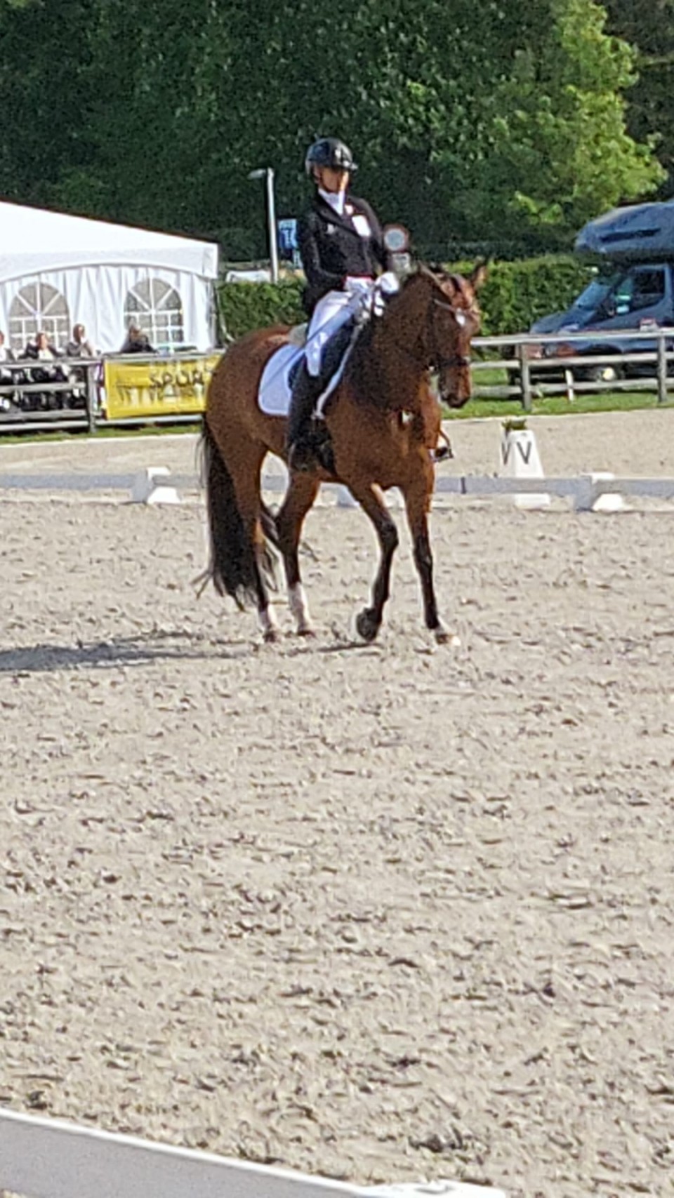 Michèle George - CPEDI Waregem @LEWB