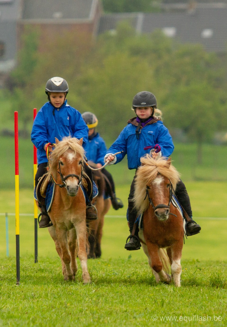 Minis du Rond-Puits - Pony Games @Equiflash.be