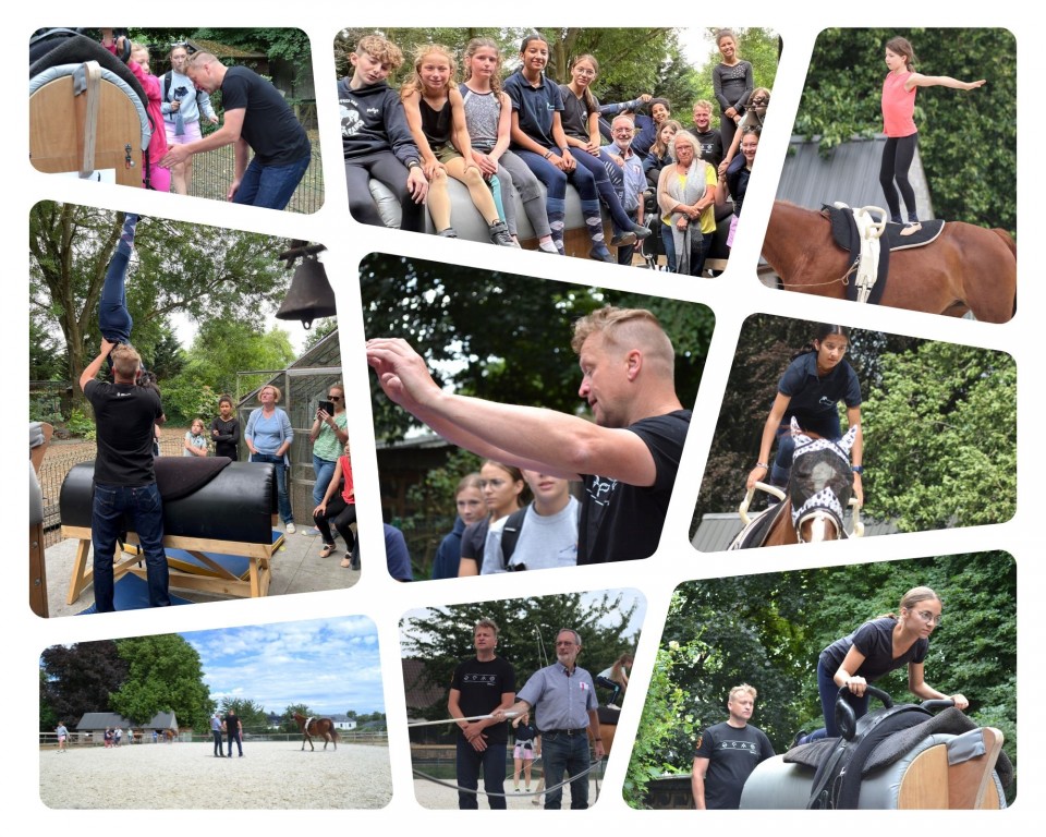 Photos d'ambiance par Patricia Kindermans @Ecurie des Coudriers