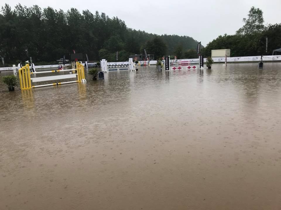 Haras du Rivage - Hannut Haras du Rivage - Hannut