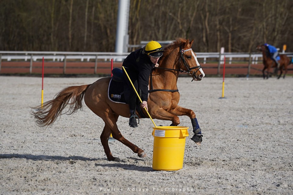 Concours International de Pony Games du 23-02-2025 - Bepoclas Ghlin @Pauline NDiaye Photographe