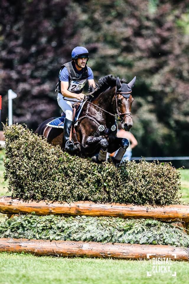 Roland Quoidbach et Fidjy des Mélèzes - Le Haras au Pin - août 2017 - Digital Clickx (c)