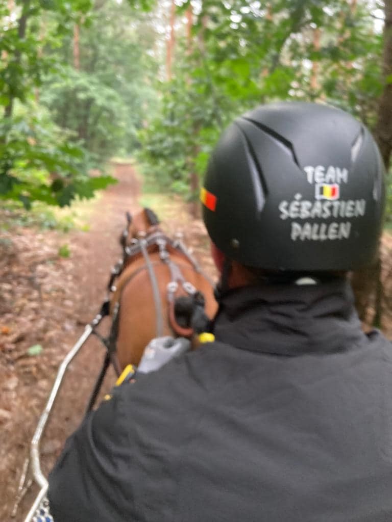 Sébastien Pallen au Championnat du Monde d'Attelage Poneys à Oirschot 2023 @Equifans