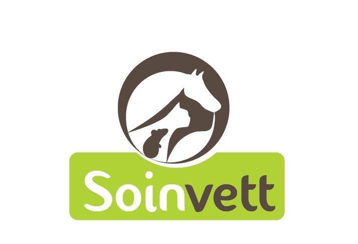 Soinvett