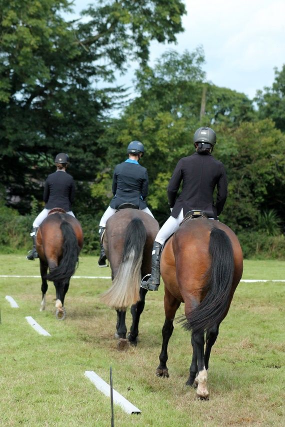 SRNC Irlande juillet 2016 - Round 1 dressage - Marijke/Kirsten/Julie (c) Regina Rahls et Tara Gottmann