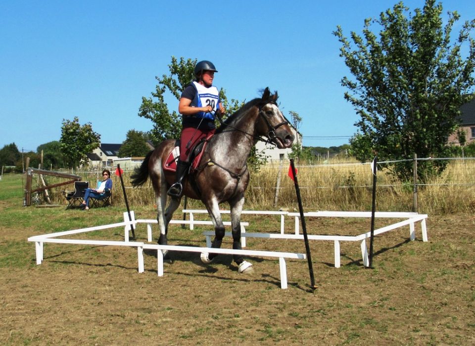 Un Superbe Weekend De Trec A Thy Le Chateau Ligue Equestre Wallonie Bruxelles