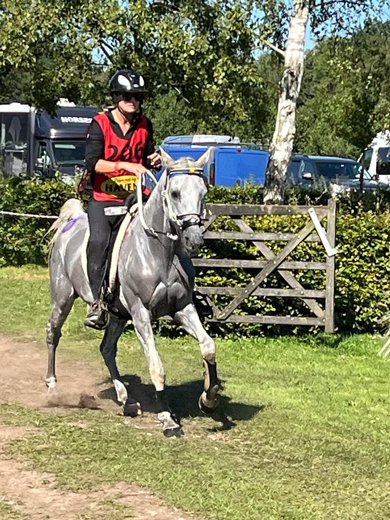 Louna Schuiten et Sabah du Courtisot au Championnat d'Europe Senior d'Ermelo 7-09-2023 @Equifans