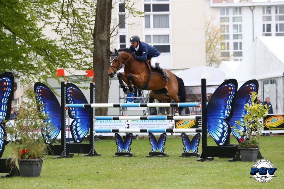 Yves Vilain - Belle Fée - CSI3 Maubeuge (FRA) - avril 2017 - Psv Photo (c)