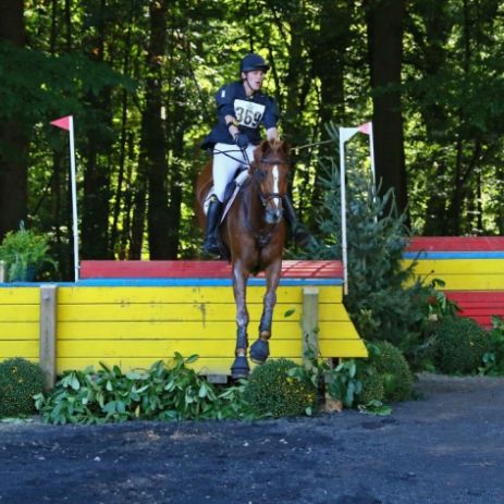 Julien Despontin et Waldano 36 (c) Hanna Broms FEI