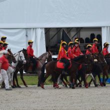 Ch Europe Equipe Allemagne 2016