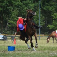 Ch Europe Equipe Allemagne 2016