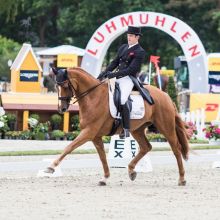 Julien Despontin et Waldano 36 à Luhmülen en 2015