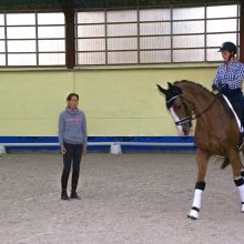 Stage Dressage Cavalor avec Michèle George à Chaumont-Gistoux 17/10/2018