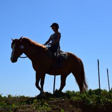 Stage pratique TREC du 6/05/2018