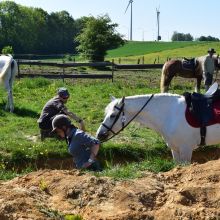 Stage pratique TREC du 6/05/2018